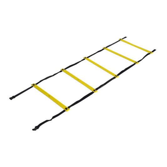 SINGLE VELOCITY LADDER 2M