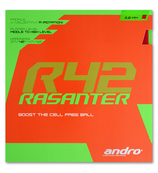 Revêtement ANDRO RASANTER R42